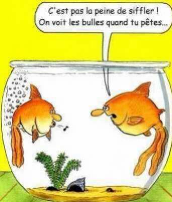 aurélien mdr