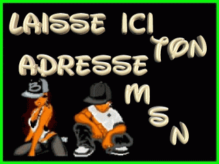 adresse msn
