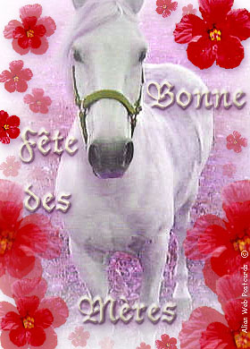 fête des meres