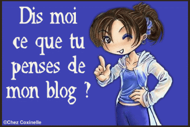 blog
