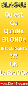 blague nul