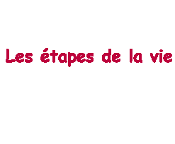 lé étapes de la vie