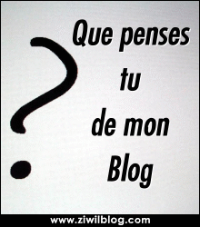 mn blog