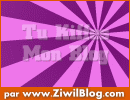 mn blog