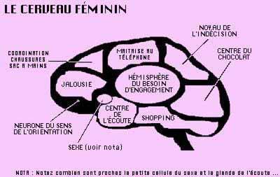 cervo feminin